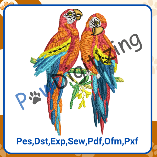 Parrots Logo Design